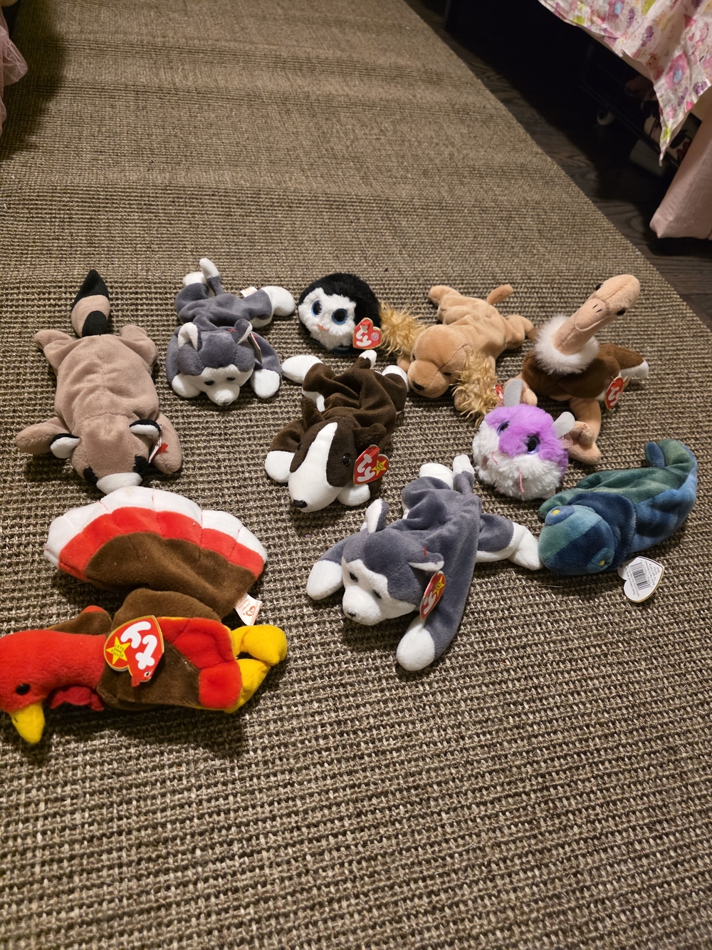 TY Beanie Babies Assorted Plush Small Pets - Multicolor